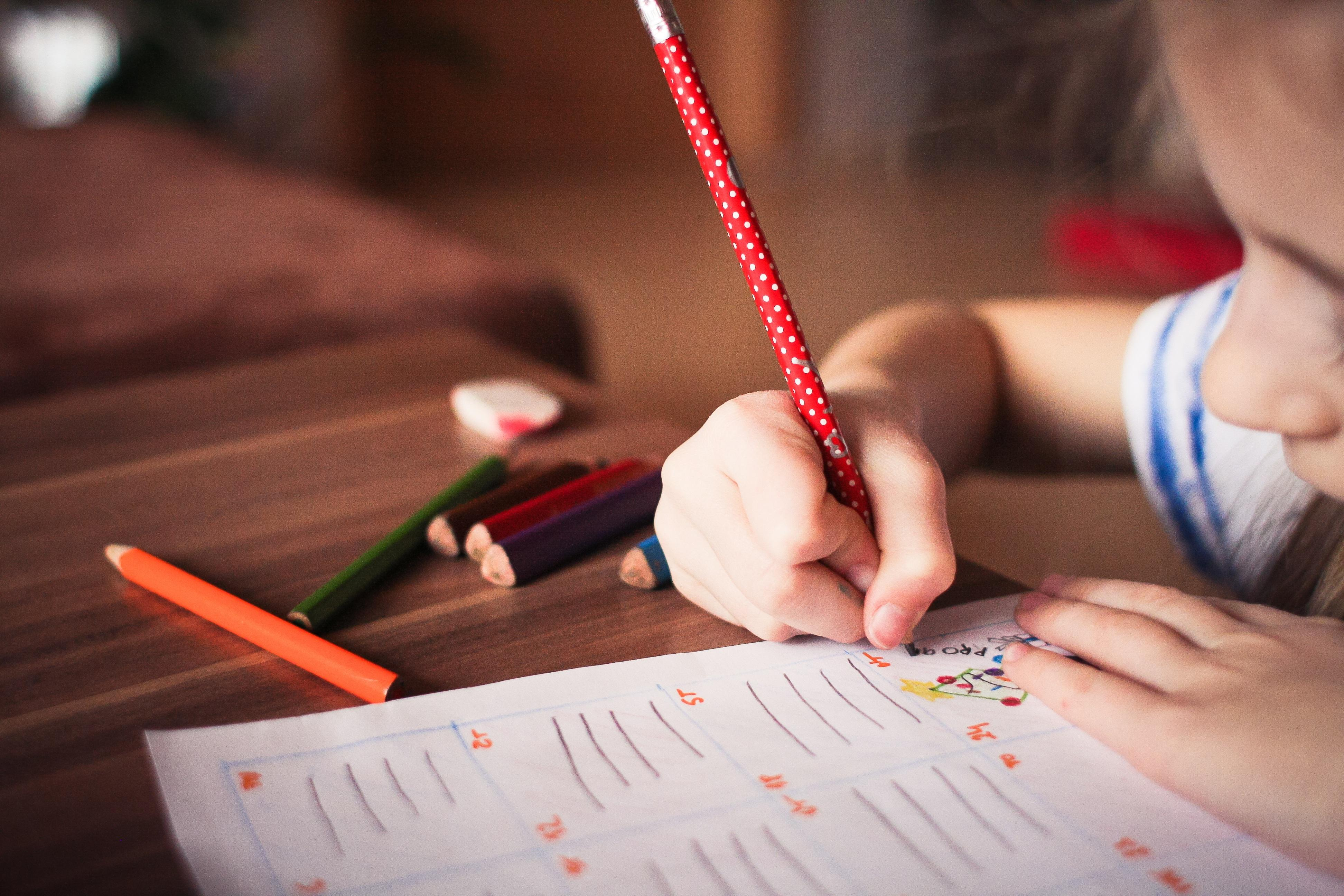 Домашние задания на каникулы: должны ли учителя их задавать