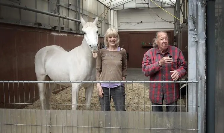 Кобила, яка ходить сама вулицями Кобила, яка ходить сама вулицями