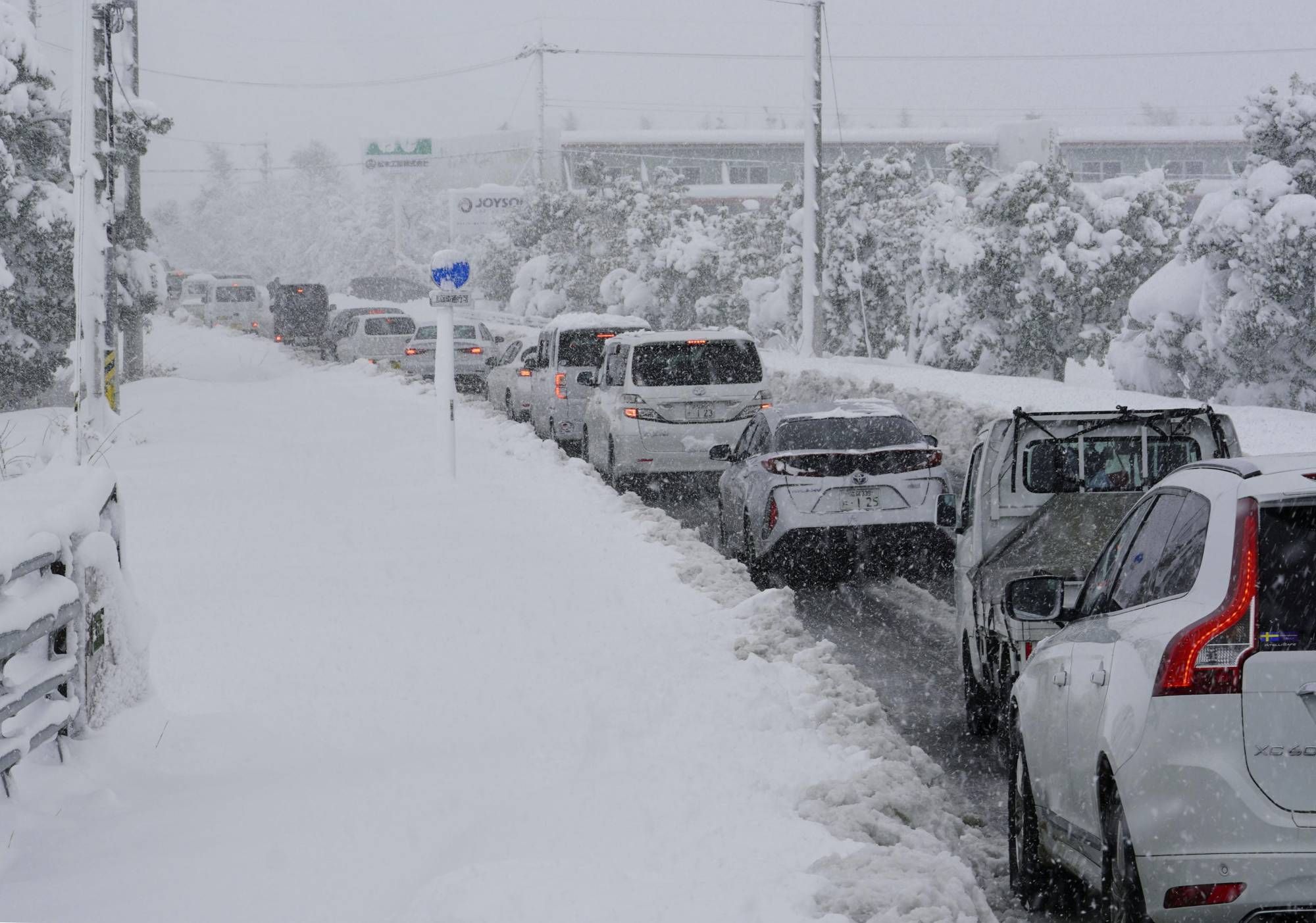 Рекордные снегопады накрыли Японию: впечатляющее видео сугробов