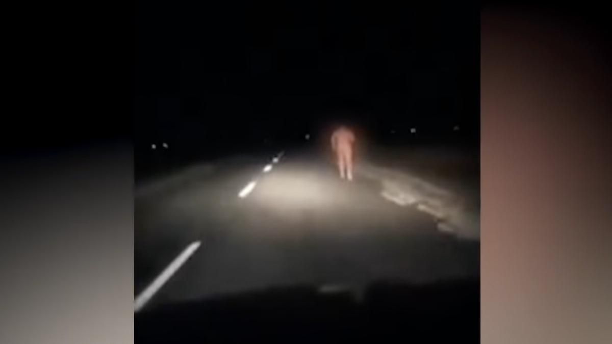 Полиция под Мариуполем не помогла мужчине на дороге, и тот замерз на смерть - Новости Мариуполь - 24 Канал Полиция под Мариуполем не помогла мужчине на дороге, и тот замерз на смерть - Новости Мариуполь - 24 Канал