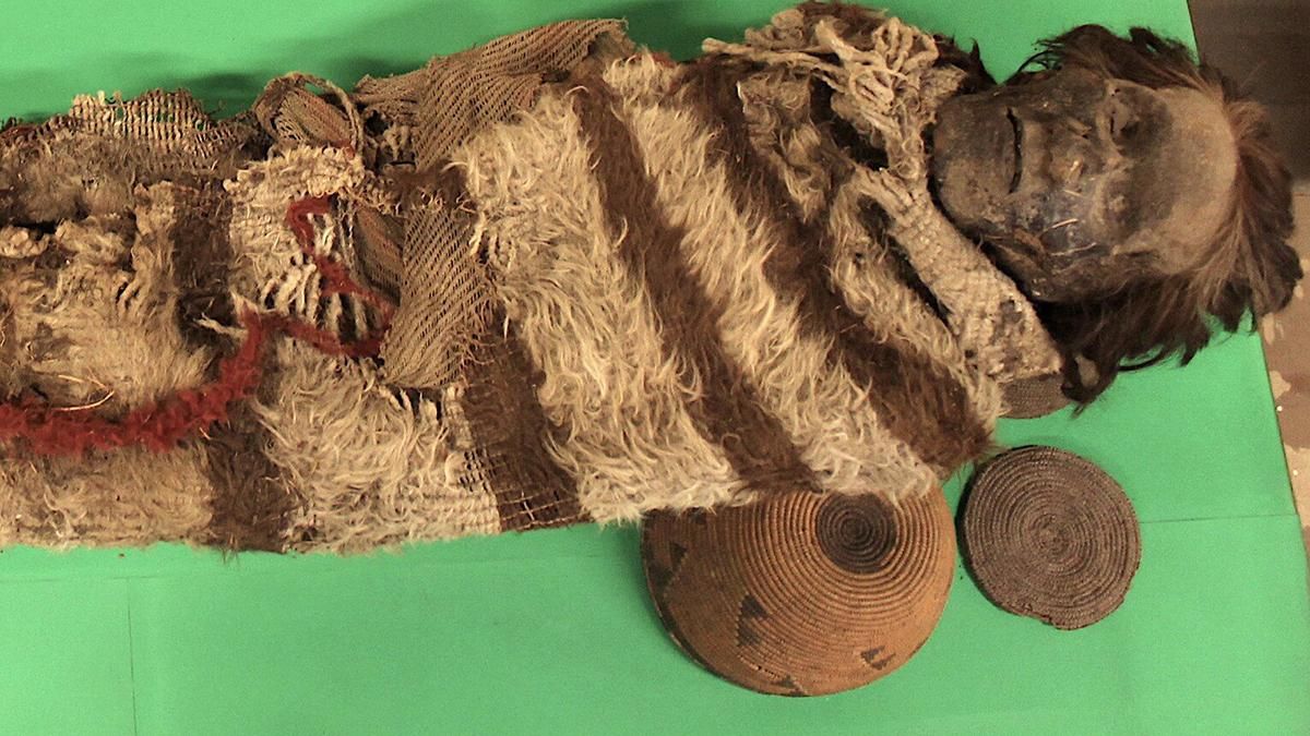 Ученые получили ДНК мумии в возрасте 2 тысячи лет: как им это удалось