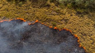 Изменение климата сильнее всего ударит по 5 областям Украины, – исследование