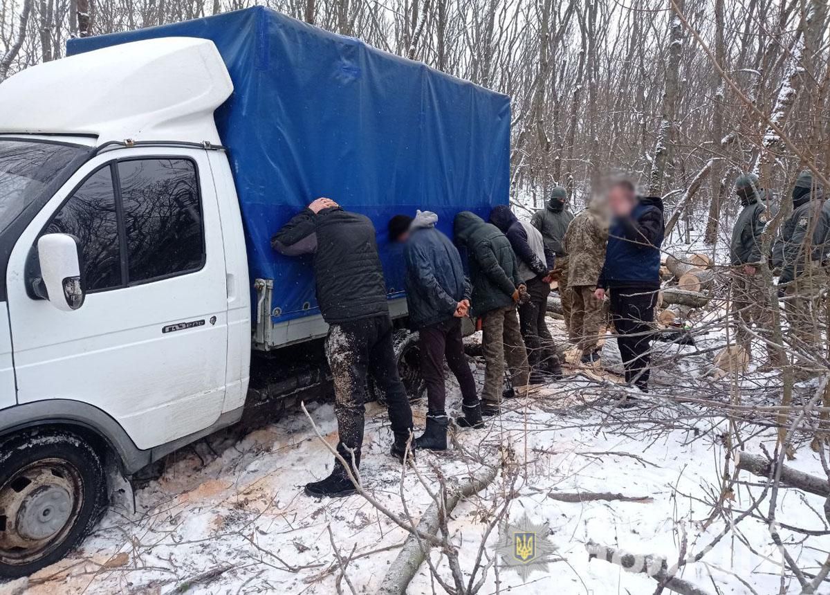 "Чорні дроворуби" накрали лісу на понад півтора мільйона гривень - Свіжі новини Краматорська - 24 Канал