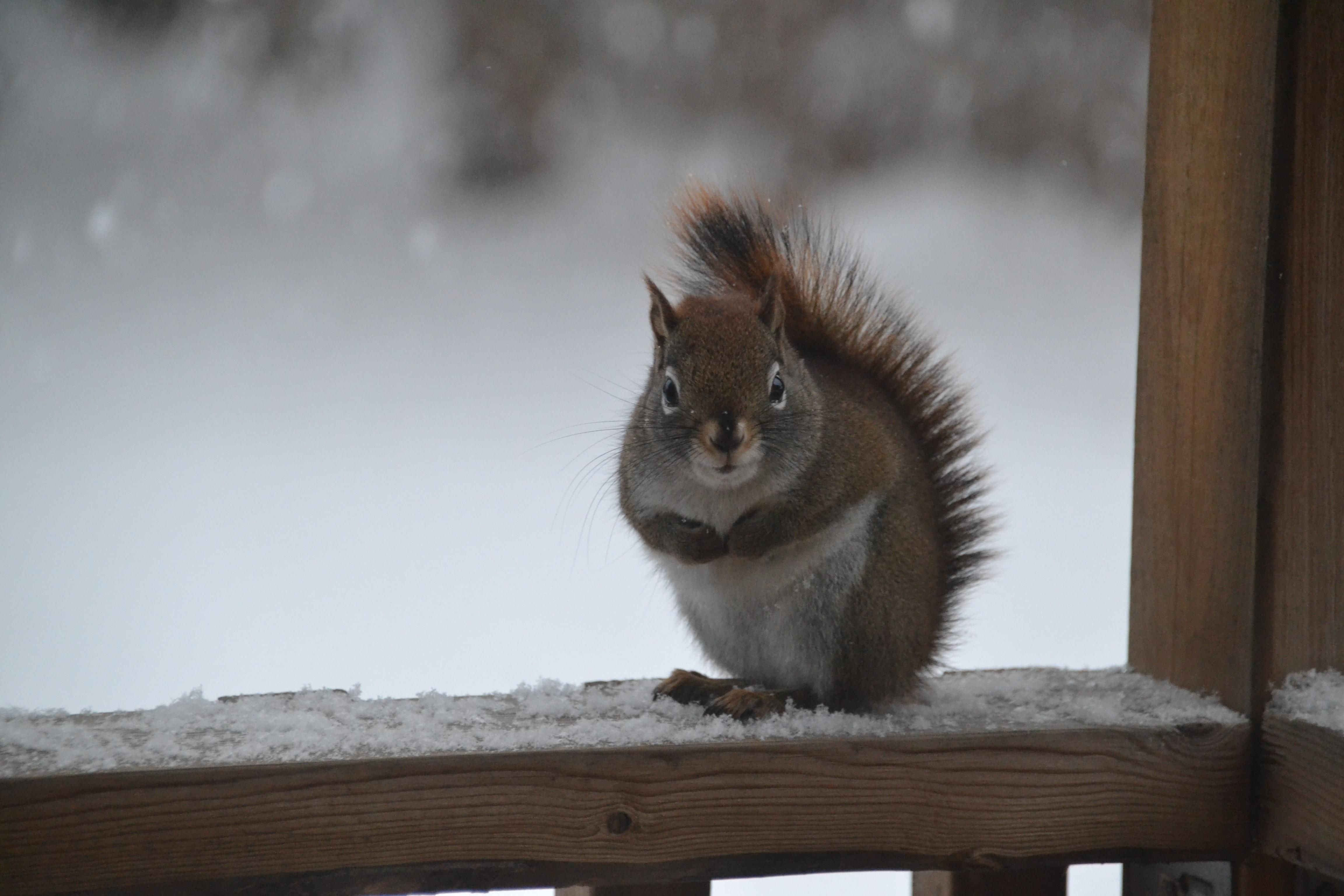 Погода на 30 грудня 2021 в Україні: що прогнозують синоптики Погода на 30 грудня 2021 в Україні: що прогнозують синоптики