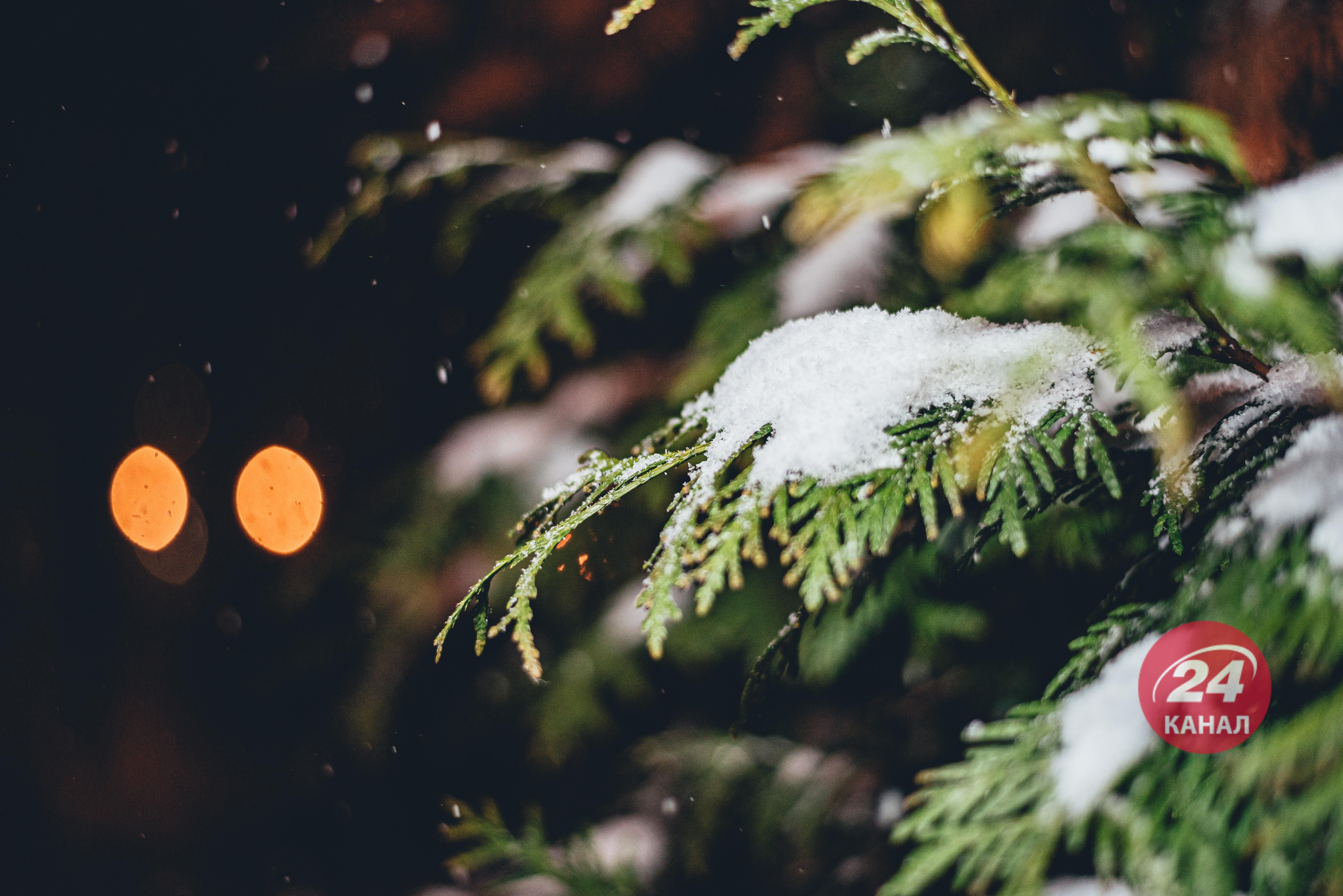 Погода на 3 января 2022 в Украине: что прогнозируют синоптики Погода на 3 января 2022 в Украине: что прогнозируют синоптики