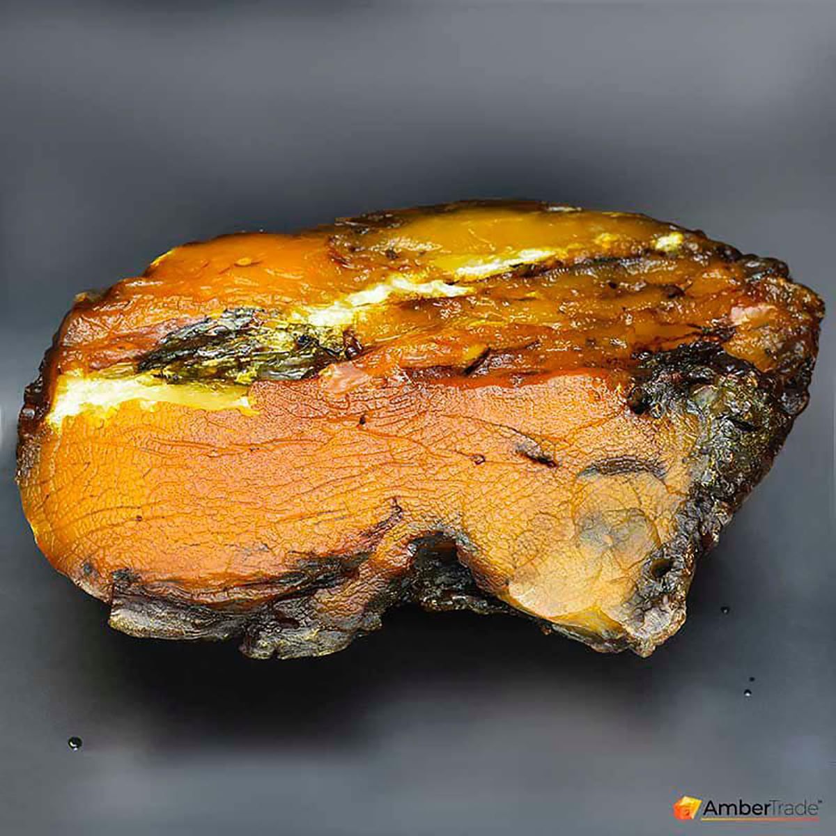 У світі таких небагато: на Рівненщині знайшли найбільший в Україні бурштин - Україна новини - 24 Канал У світі таких небагато: на Рівненщині знайшли найбільший в Україні бурштин - Україна новини - 24 Канал