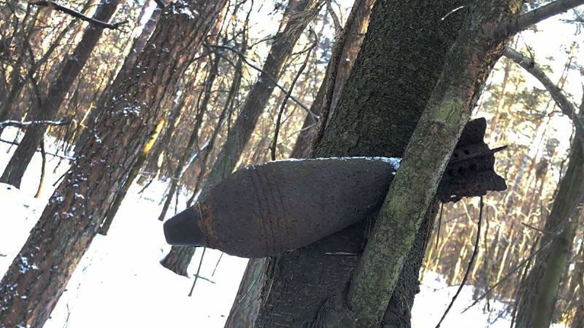 Під Львовом виявили міну на дереві: що сказали в ДСНС - Львів