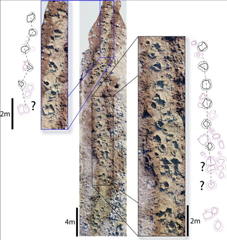 Сліди динозаврів Сліди динозаврів