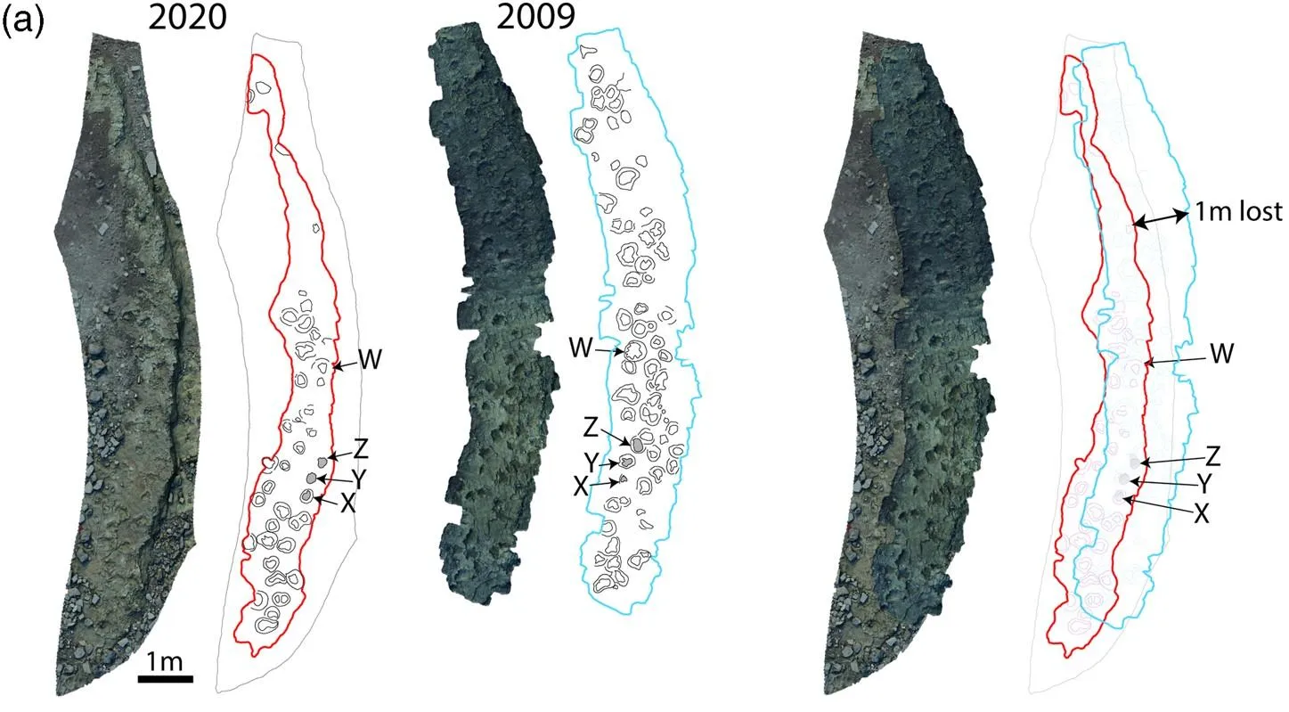 Динозаври Динозаври