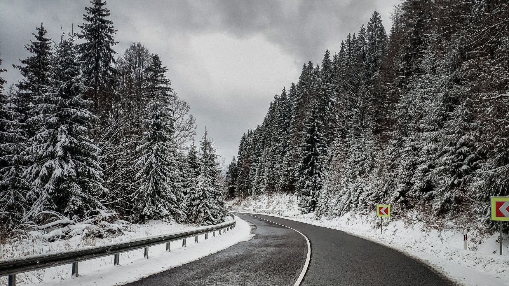 Водійка Mercedes жорстко збила жителя Львівщини: вижити шансів не було - Львів Водійка Mercedes жорстко збила жителя Львівщини: вижити шансів не було - Львів