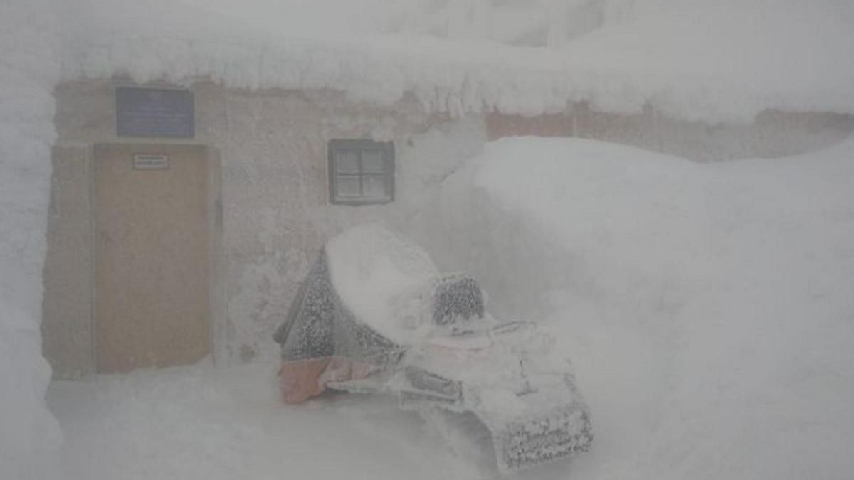У перший день року Карпати у снігу й тумані: є загроза сходження лавин - Україна новини - 24 Канал
