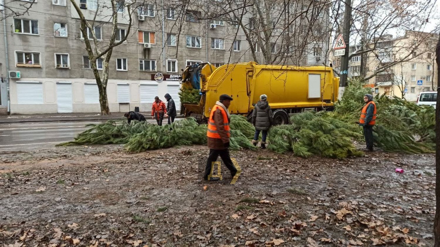 Новорічний непотріб: в Одесі продавці викинули сотні ялинок, які не встигли продати - Новини Одеси сьогодні - Одеса