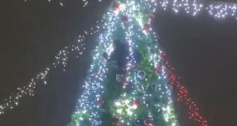 В Кривом Роге мужчина в новогоднюю ночь вылез на елку, но слезть не мог