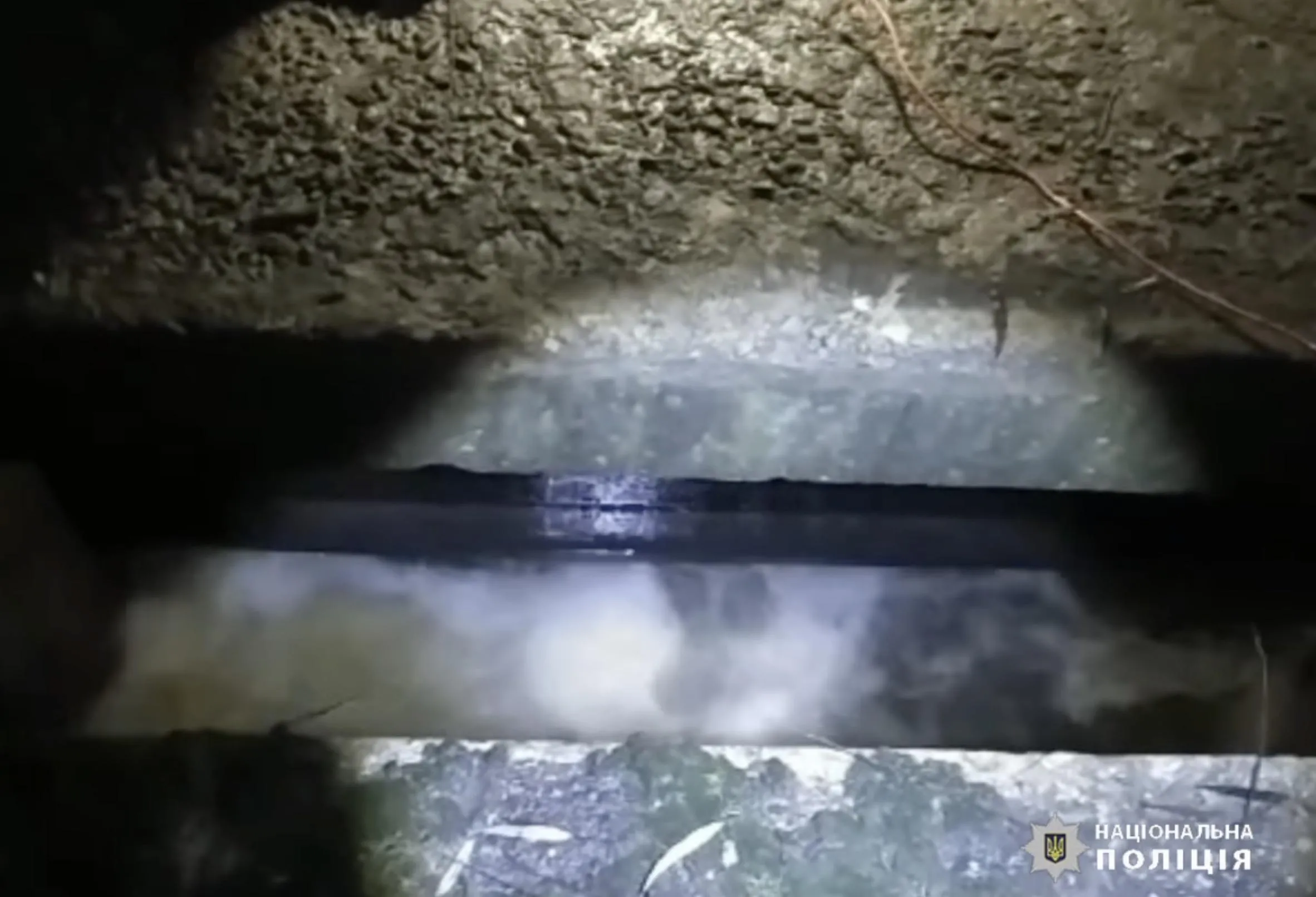 Гребля Гребля