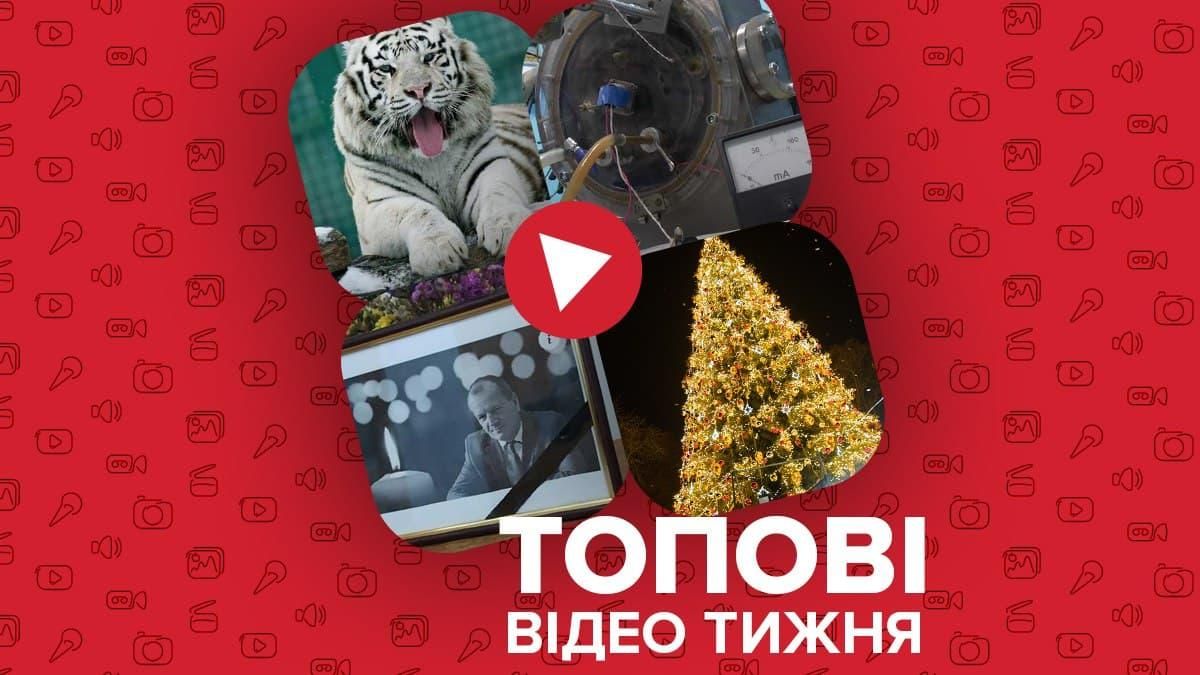 Резонансне вбивство відомого лікаря, продаж ялинок в Україні – відео тижня - Новини Харків - 24 Канал