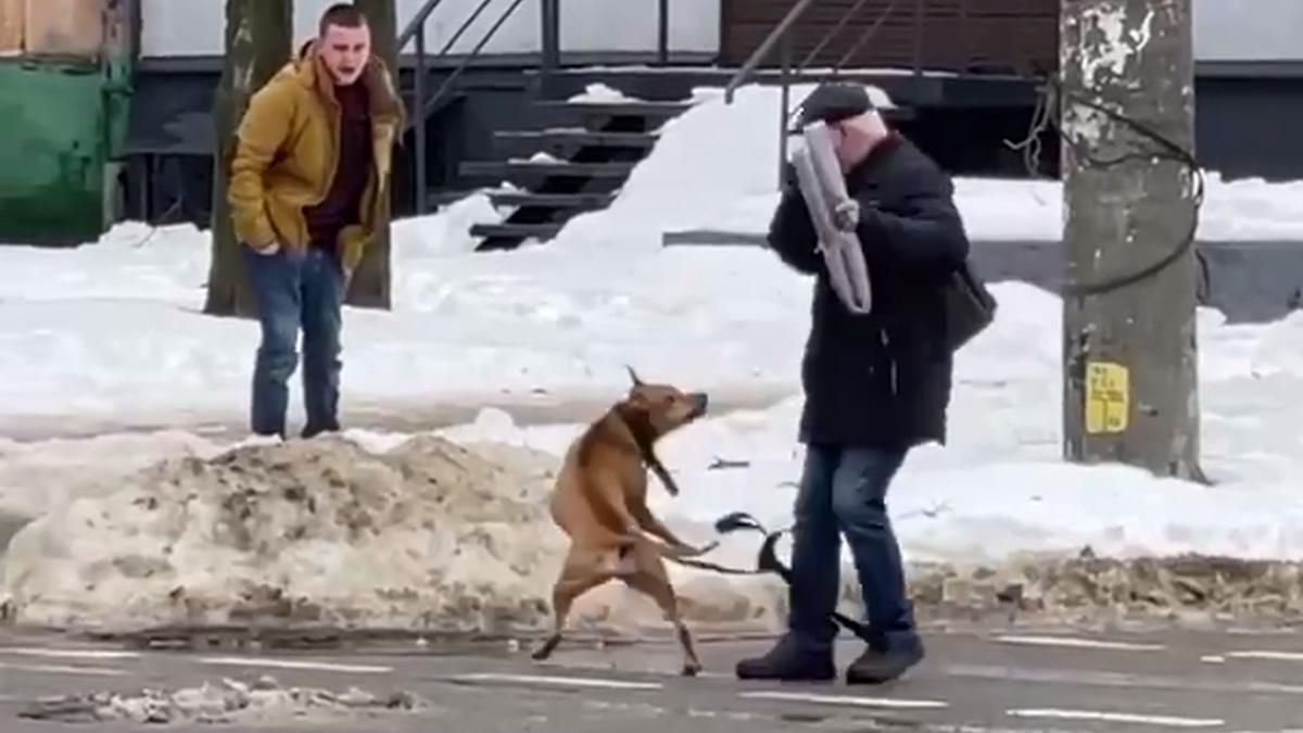 Полиция бездействует: в Днепре пьяный владелец постоянно натравливает пса на прохожих и кошек Полиция бездействует: в Днепре пьяный владелец постоянно натравливает пса на прохожих и кошек
