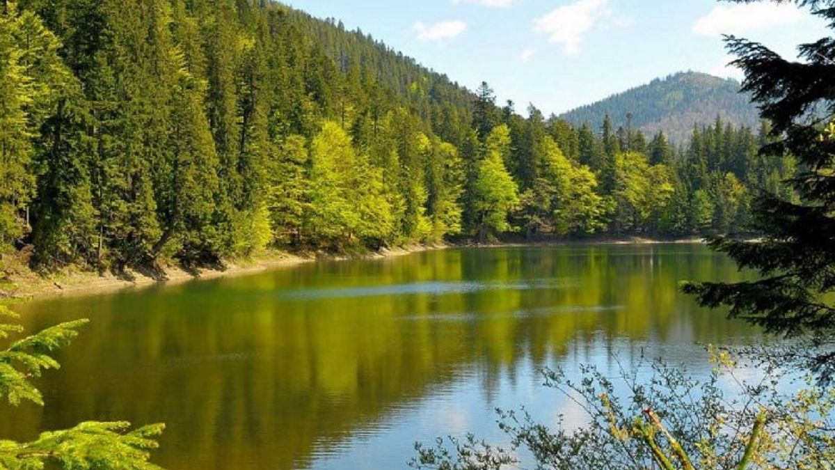 Зеленский инициировал создание новых природных парков в Украине