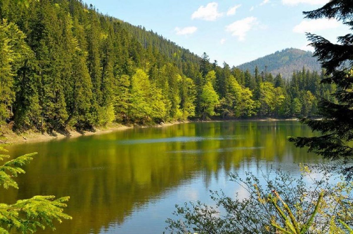 Зеленский инициировал создание новых природных парков в Украине