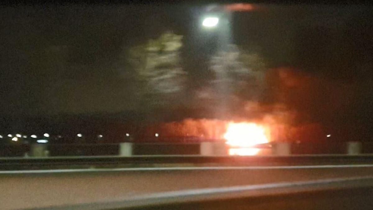 Пылает ЮБК: масштабный пожар на Трухановом острове попал на видео - Свежие новости Киева - Киев
