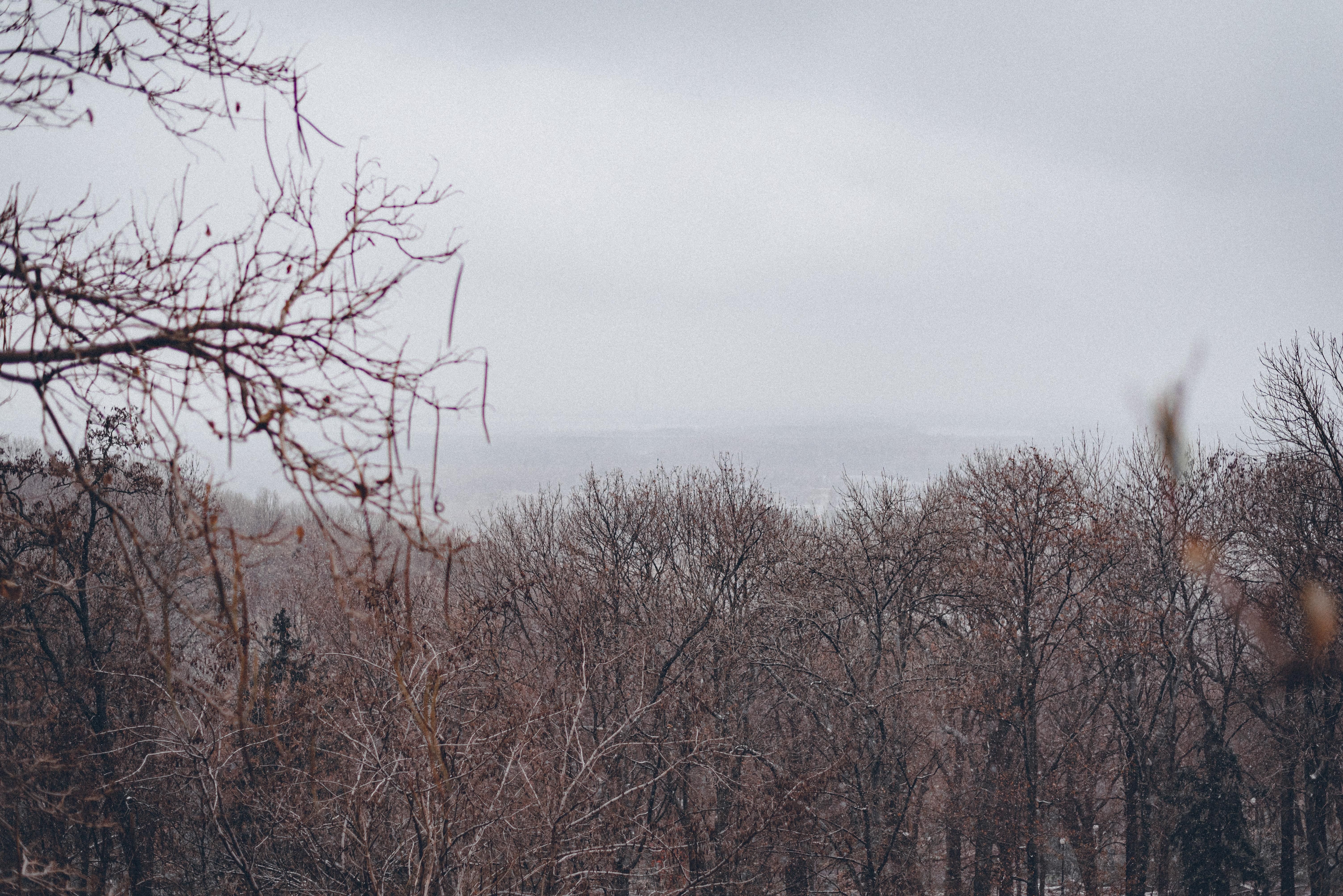 Сильный ветер и лавины: Украину накроет непогода Сильный ветер и лавины: Украину накроет непогода