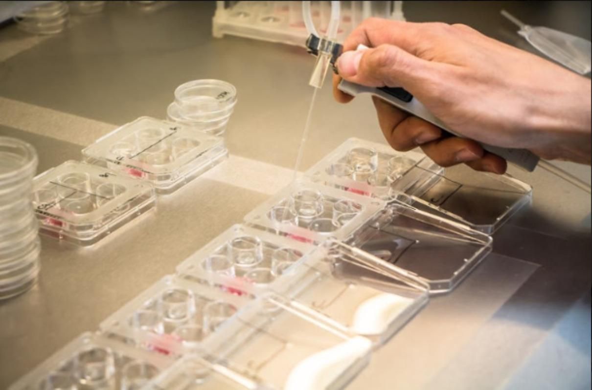 Через яйцеклітину: жителька Ізраїлю судитиметься за дитину з найстаршою матір'ю України - Новини Чернігова сьогодні - 24 Канал Через яйцеклітину: жителька Ізраїлю судитиметься за дитину з найстаршою матір'ю України - Новини Чернігова сьогодні - 24 Канал