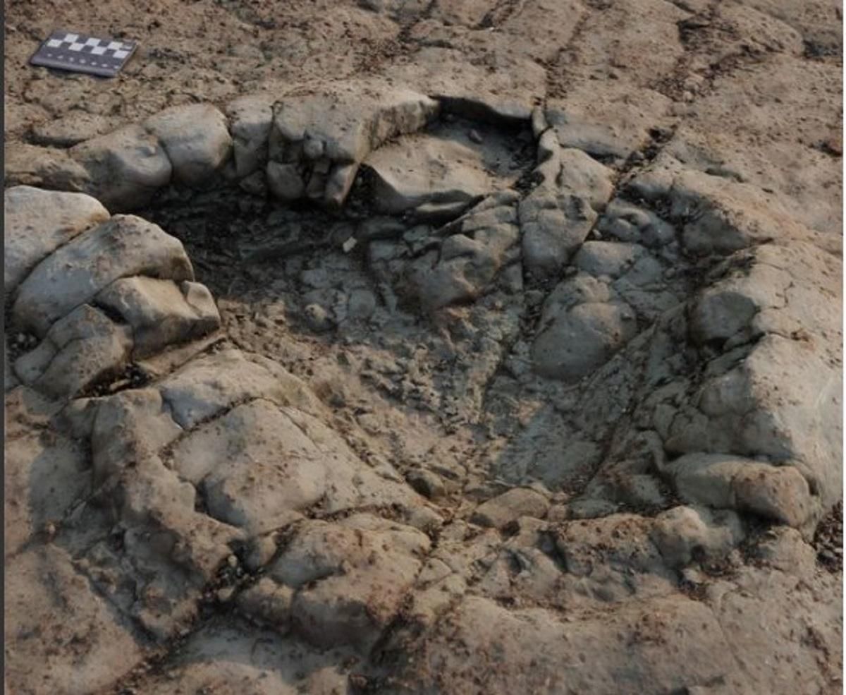 У Великій Британії знайшли сліди динозавра віком 200 мільйонів років - 24 Канал У Великій Британії знайшли сліди динозавра віком 200 мільйонів років - 24 Канал