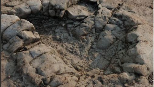 В Великобритании нашли следы динозавра возрастом 200 миллионов лет