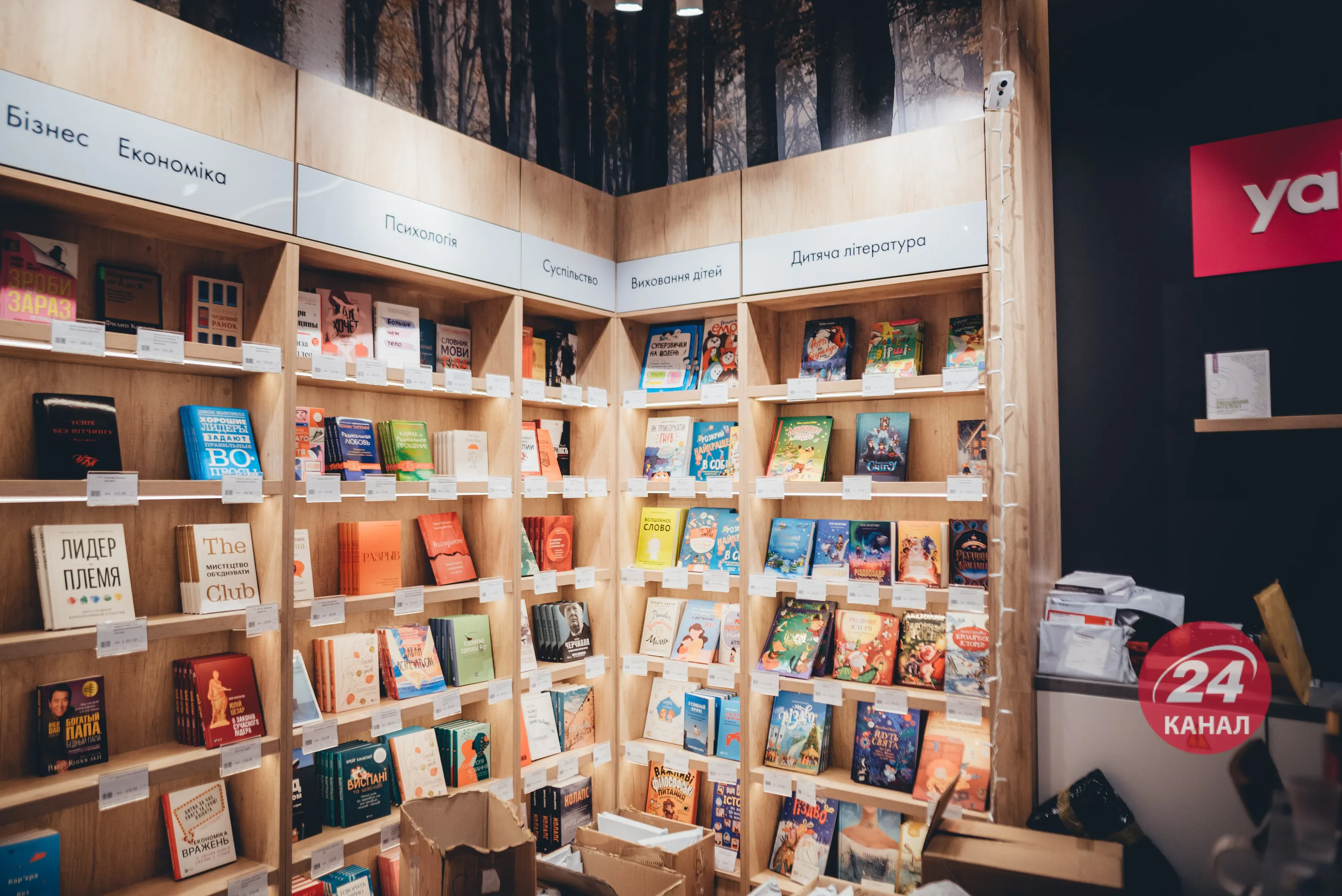 Книги Книги