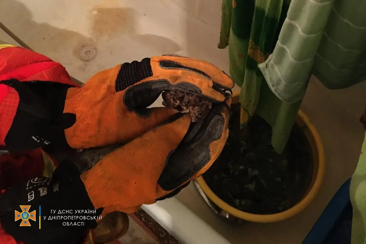 кажан дснс дніпро кажан дснс дніпро