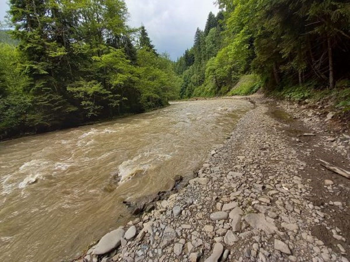 Може затопити трасу: в Україні прогнозують підняття рівня води - 24 Канал