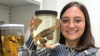 У древнего краба обнаружили глаза: что тут удивительного