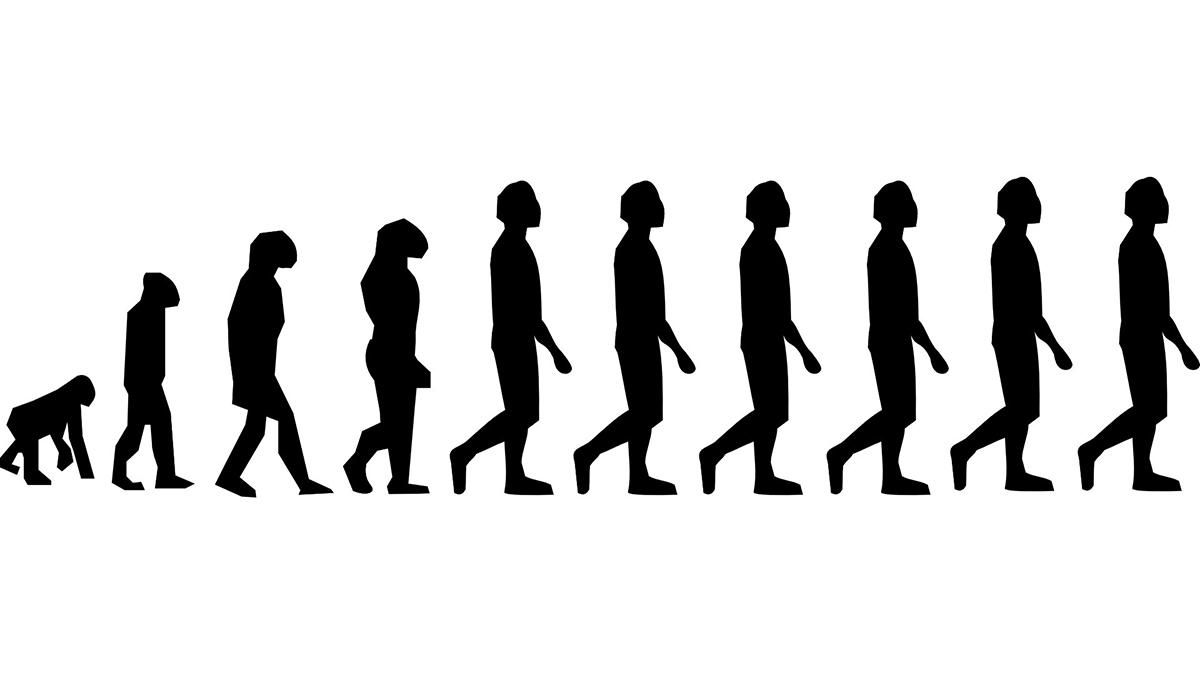 Людська перевага: чим ми відрізнялися від неандертальців - Новини технологій - Техно