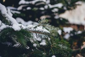 Температура опустится до -20: когда в Украину придут сильные морозы