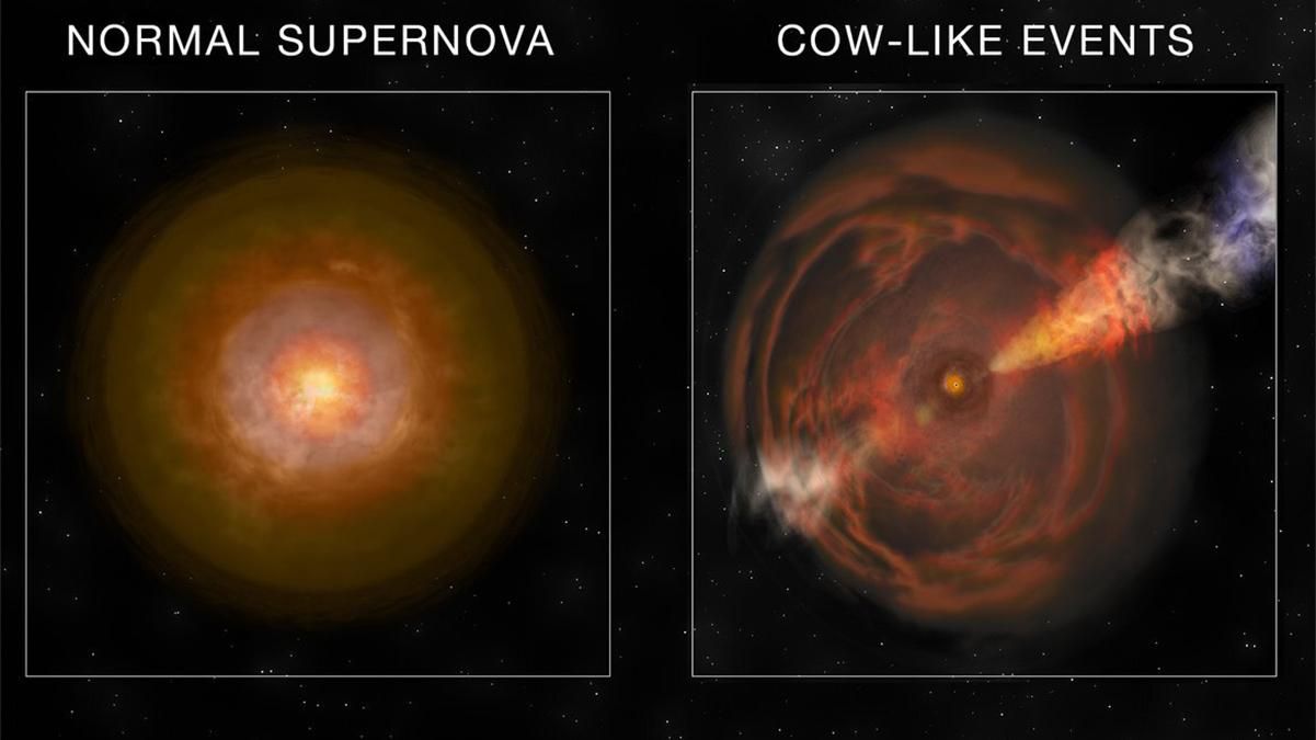 Космічна "корова" сяє у рентгенівському діапазоні - Новини технологій - Техно Космічна "корова" сяє у рентгенівському діапазоні - Новини технологій - Техно