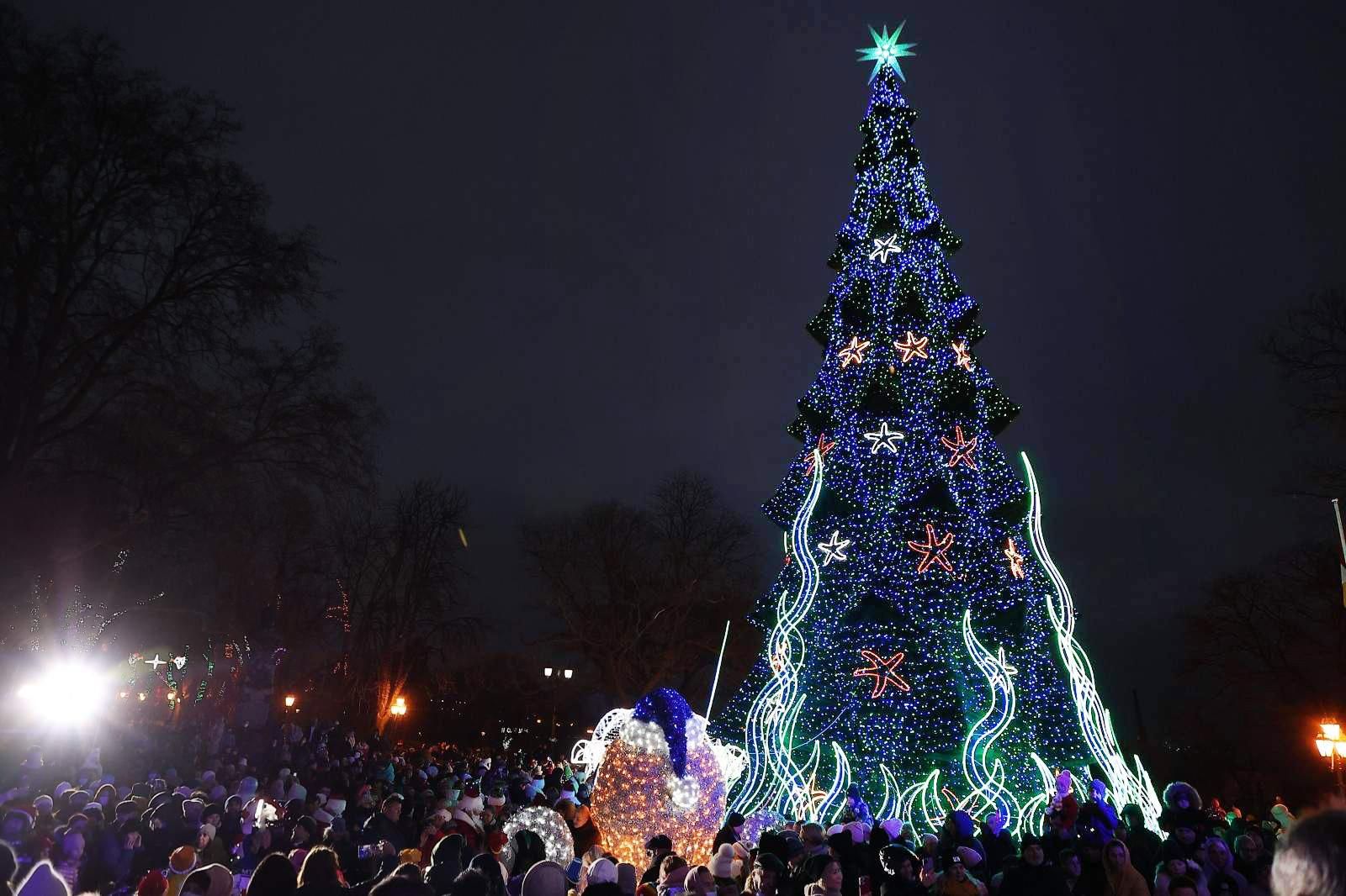 Заминировали главную елку Одессы: аноним обещает взрыв нескольких улиц Заминировали главную елку Одессы: аноним обещает взрыв нескольких улиц