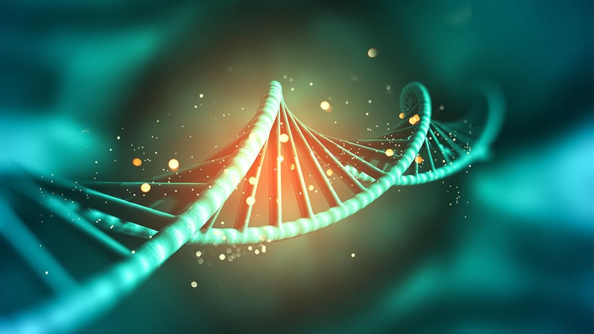 Самую маленькую антенну в мире, размером всего 5 нанометров, создали на основе ДНК Самую маленькую антенну в мире, размером всего 5 нанометров, создали на основе ДНК