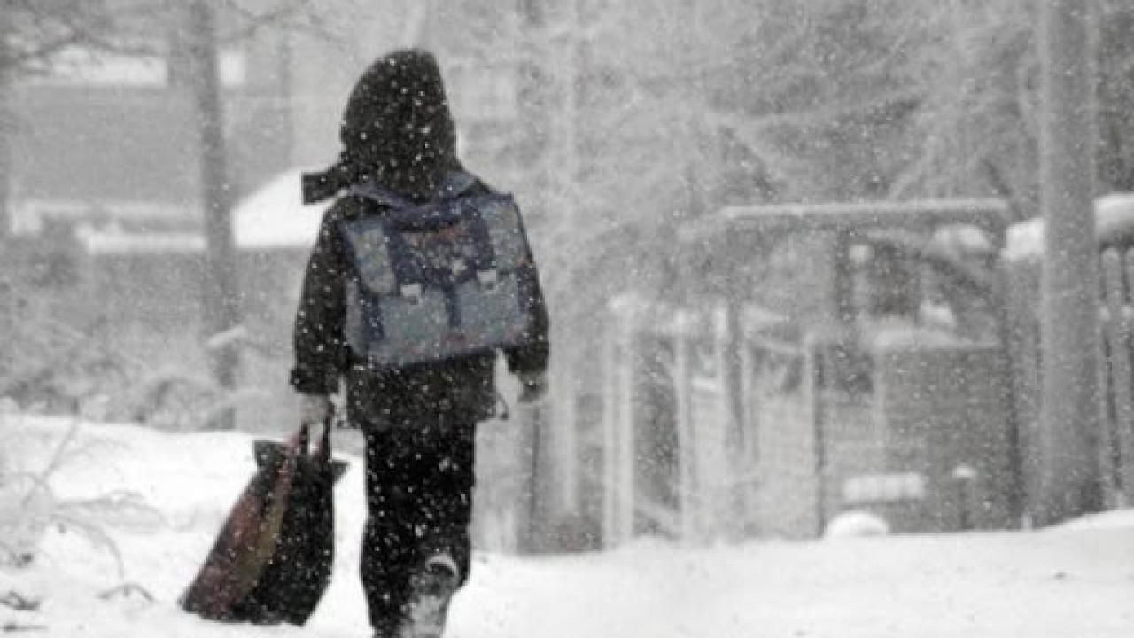 При каком морозе дети не должны ходить в школу и кто это решает При каком морозе дети не должны ходить в школу и кто это решает