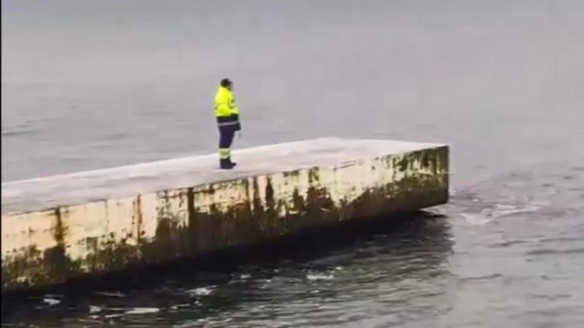 Разделся и прыгнул с пирса: в Одессе разыскивают ночного пловца Разделся и прыгнул с пирса: в Одессе разыскивают ночного пловца