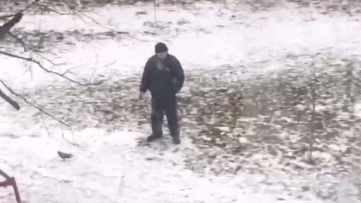 В Киеве сняли на видео, как мужчина выгуливал на поводке голубя В Киеве сняли на видео, как мужчина выгуливал на поводке голубя