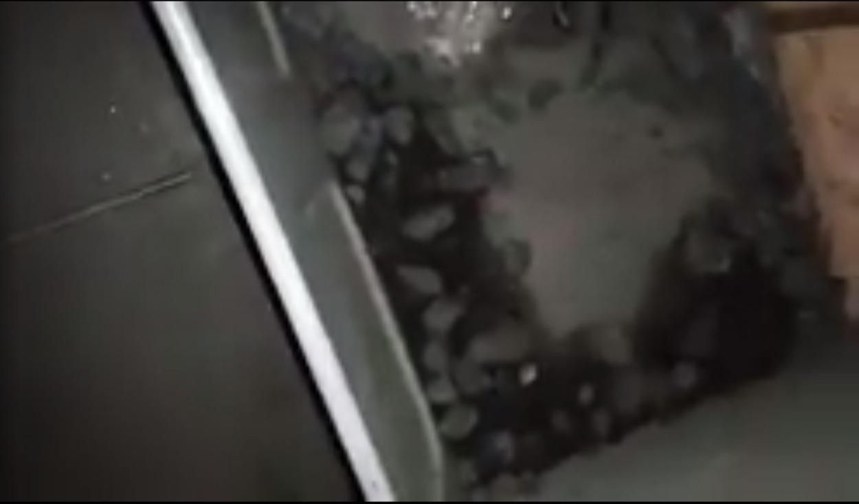 Куча угля в багажном отделении: пассажир поезда Мариуполь – Львов опубликовал интересное видео