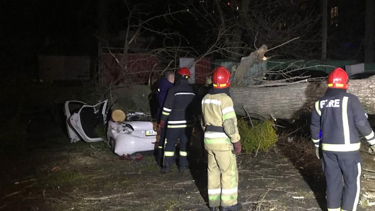 Дерево впало й розчавило автомобіль із людьми у Києві: фото й відео наслідків буревію - Новини Києва сьогодні - Київ Дерево впало й розчавило автомобіль із людьми у Києві: фото й відео наслідків буревію - Новини Києва сьогодні - Київ