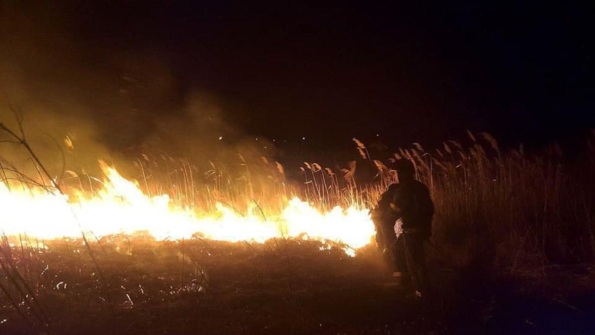 В Одессе занялись поля фильтрации В Одессе занялись поля фильтрации