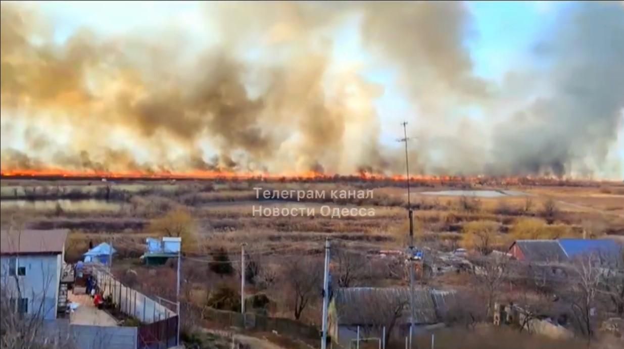 Масштабна пожежа в Одеській області: горить територія національного парку - Україна новини - 24 Канал