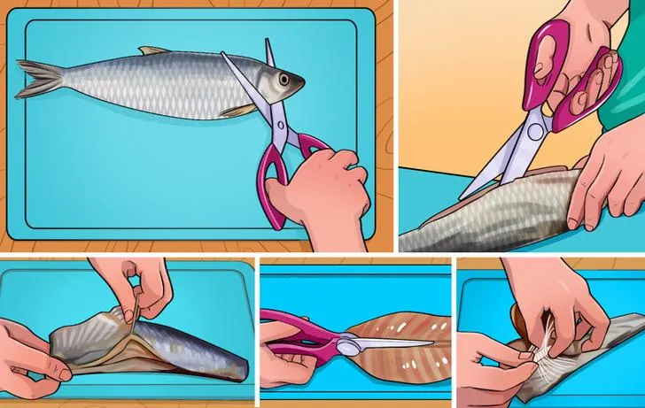 Ідеї Очищення Ідеї Очищення