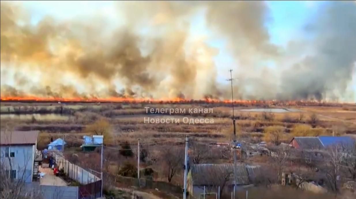 Масштабный пожар в Одесской области: горит территория национального парка Масштабный пожар в Одесской области: горит территория национального парка
