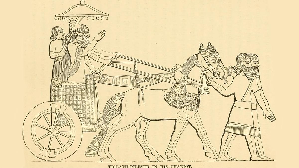 Яких тварин використовували для війни до того, як були приручені коні - Новини технологій - Техно Яких тварин використовували для війни до того, як були приручені коні - Новини технологій - Техно