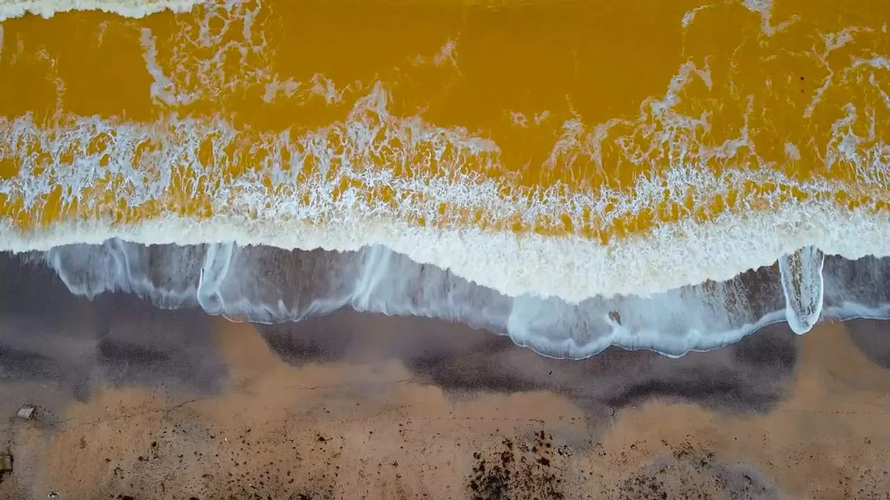 Чорне море в Криму стало жовтим Чорне море в Криму стало жовтим