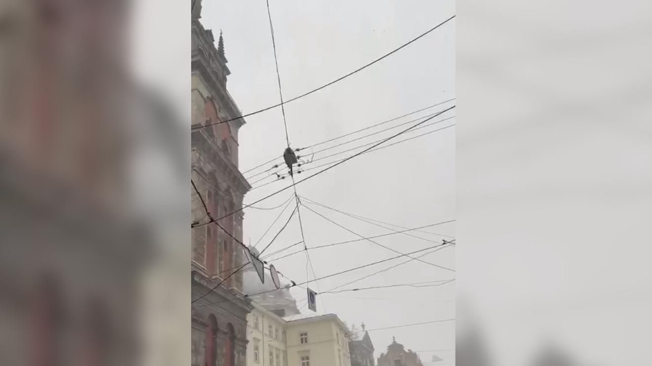 По Львову пронеслась снежная гроза: всего лишь третий раз за 100 лет – удивительное видео По Львову пронеслась снежная гроза: всего лишь третий раз за 100 лет – удивительное видео