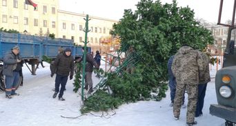  У Кропивницькому вітер повалив головну ялинку міста: промовисті фото