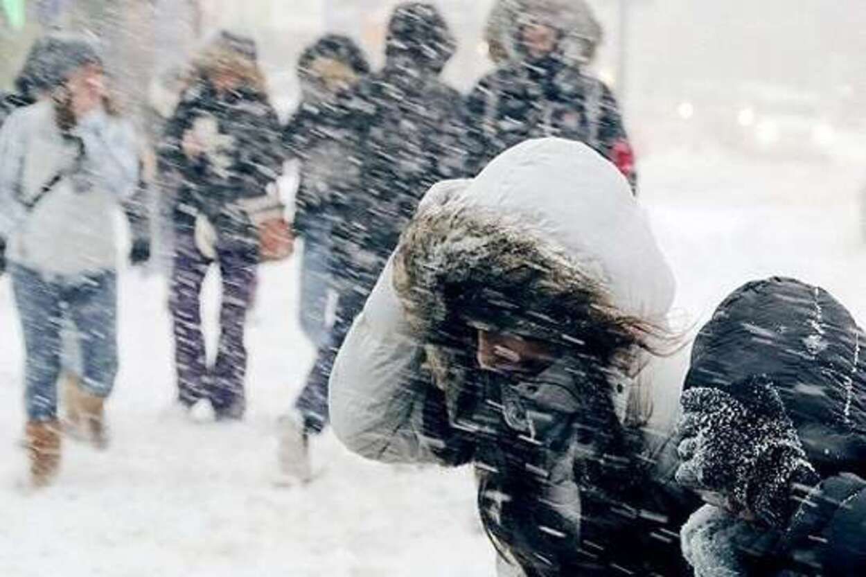 Дерево упало на женщину, ряд домов обесточены: непогода наделала много бед на Львовщине Дерево упало на женщину, ряд домов обесточены: непогода наделала много бед на Львовщине